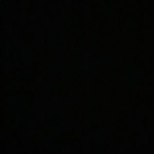 Meet your Posher, Layla